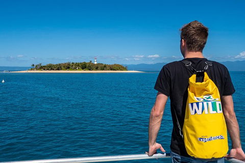 Half Day Low Isles Snorkelling Tour From Port Douglas - Holiday Great Ocean Road 5