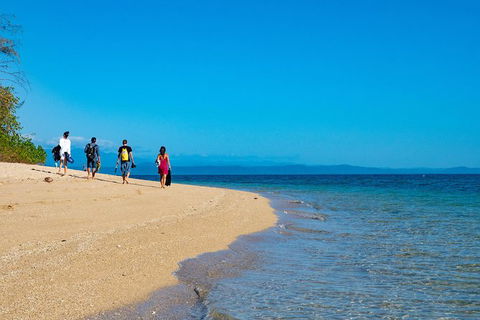Half Day Low Isles Snorkelling Tour From Port Douglas - Holiday Great Ocean Road 3
