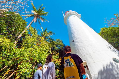Half Day Low Isles Snorkelling Tour From Port Douglas - Holiday Great Ocean Road 7