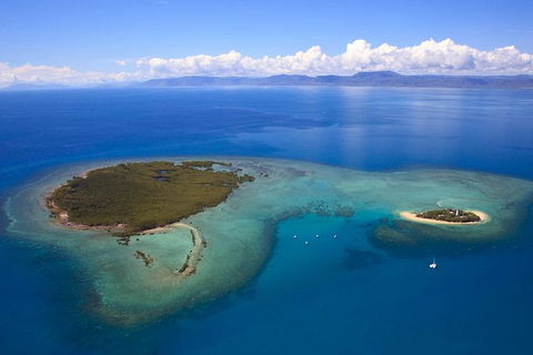 Half Day Low Isles Snorkelling Tour From Port Douglas - Holiday Great Ocean Road 4