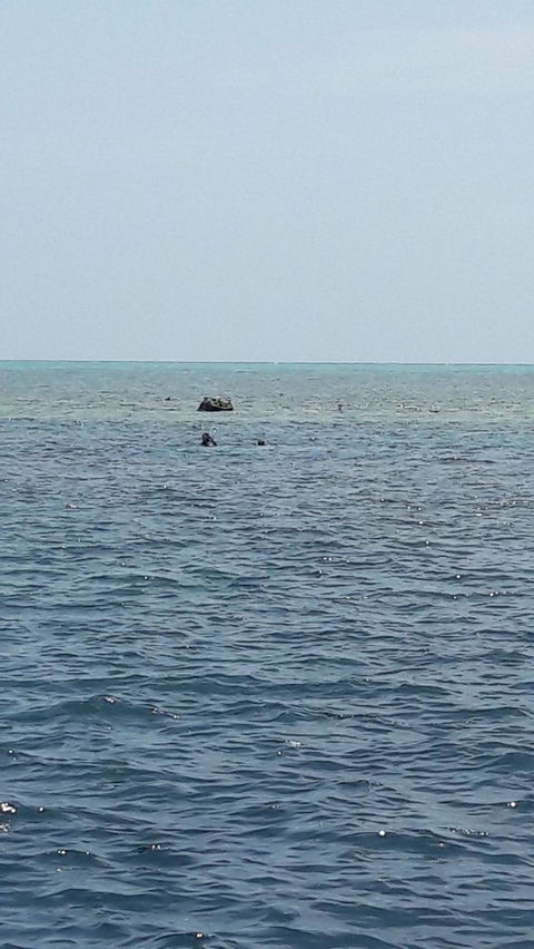 Great Barrier Reef Cruise From Townsville Or Magnetic Island - Holiday Great Ocean Road 2