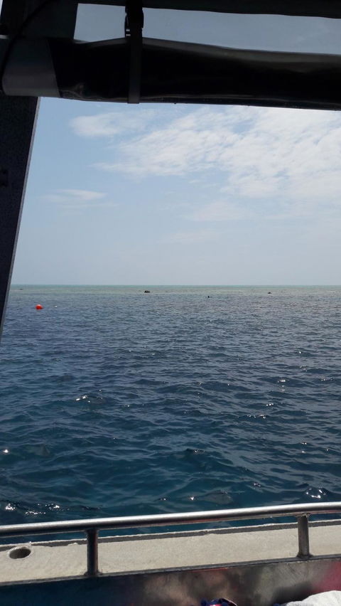 Great Barrier Reef Cruise From Townsville Or Magnetic Island - Holiday Great Ocean Road 3