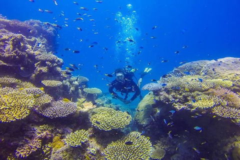 Great Barrier Reef Cruise From Townsville Or Magnetic Island - Holiday Great Ocean Road 12