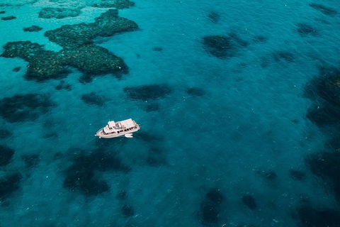 Great Barrier Reef Cruise From Townsville Or Magnetic Island - Holiday Great Ocean Road 7