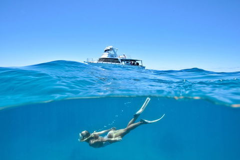 Great Barrier Reef Cruise From Townsville Or Magnetic Island - Holiday Great Ocean Road 10