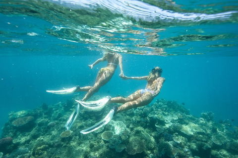 Great Barrier Reef Cruise From Townsville Or Magnetic Island - Holiday Great Ocean Road 8