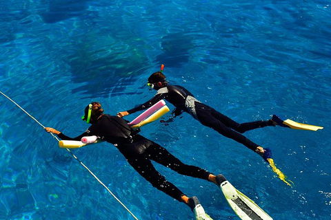 Great Barrier Reef Cruise From Townsville Or Magnetic Island - Holiday Great Ocean Road 13