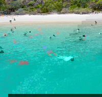 Stray Australia Brisbane to Cairns - Freestyle Travel Pass - Holiday Great Ocean Road