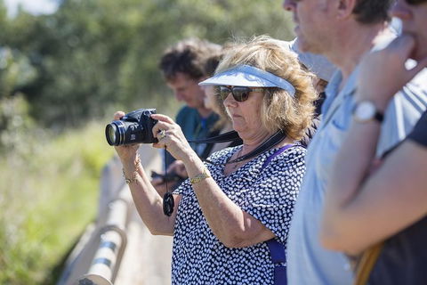 Townsville City Sightseeing Tour - Holiday Great Ocean Road 1