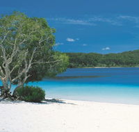 2-Day Fraser Island 4WD Tour from Brisbane or the Gold Coast - Holiday Great Ocean Road