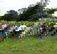 Full Day Mount Tamborine Winery Tour from Brisbane - Holiday Great Ocean Road