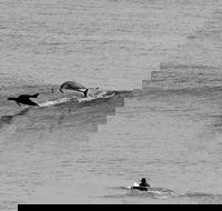 Overnight Tweed Coast Camping and Surfing Getaway From The Gold Coast - Holiday Great Ocean Road