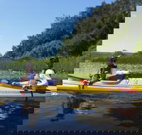 2 Day Self-Guided Noosa Everglades Kayak Tour - Holiday Great Ocean Road