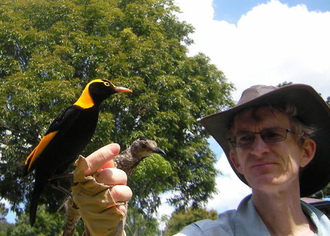 O'Reilly's Lamington National Park And Treetop Canopy Tour - Holiday Great Ocean Road 4