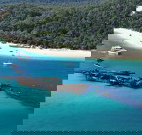 All Inclusive Dolphin and Tangalooma Wrecks Cruise Departing Gold Coast - Holiday Great Ocean Road