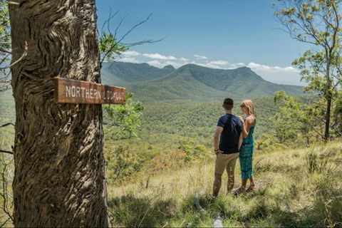 Queensland Food Tour: The Ultimate Delectable Full Day Experience - Holiday Great Ocean Road 1