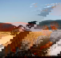 Uluru Ayers Rock Sunset with Outback Barbecue Dinner and Star Tour - Holiday Great Ocean Road