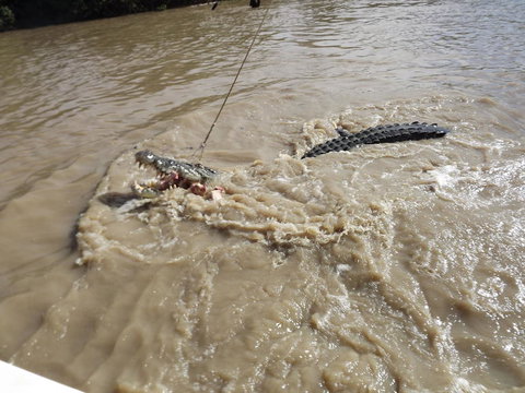 Darwin Jumping Crocodiles Cruise On Adelaide River - Holiday Great Ocean Road 8