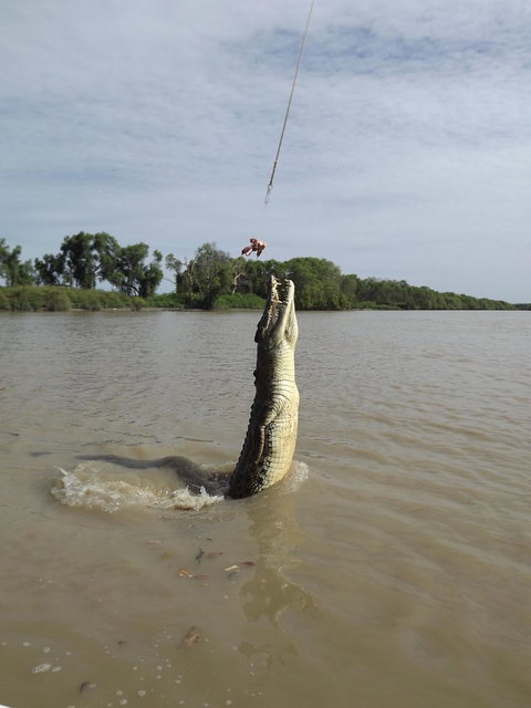 Darwin Jumping Crocodiles Cruise On Adelaide River - Holiday Great Ocean Road 2