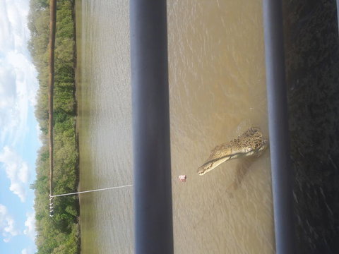 Darwin Jumping Crocodiles Cruise On Adelaide River - Holiday Great Ocean Road 3