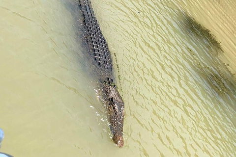 Kakadu National Park Scenic Flight & Cruise - Holiday Great Ocean Road 11