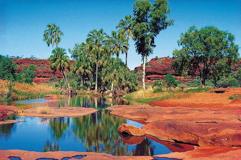 Palm Valley 4WD Tour From Alice Springs - Holiday Great Ocean Road 1