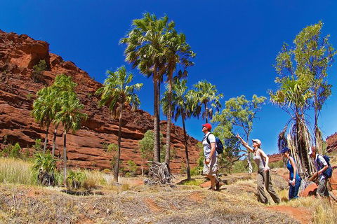 Palm Valley 4WD Tour From Alice Springs - Holiday Great Ocean Road 0