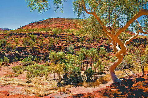 Palm Valley 4WD Tour From Alice Springs - Holiday Great Ocean Road 6