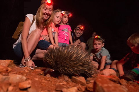 Alice Springs Desert Park Nocturnal Tour - Holiday Great Ocean Road 5