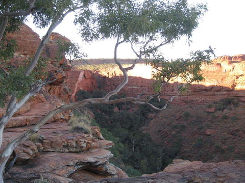 3-Day Uluru And Kings Canyon Camping Experience From Alice Springs Including Outback BBQ Dinner - Holiday Great Ocean Road 1