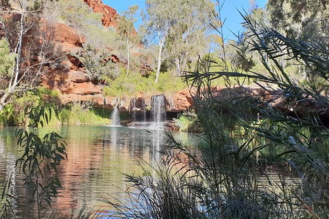 20 Day Darwin To Perth Adventure - Holiday Great Ocean Road 10