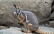 All Inclusive Blue Mountains Small-Group Day Trip From Sydney - thumb 4