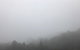All Inclusive Blue Mountains Small-Group Day Trip From Sydney - thumb 20