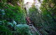 All Inclusive Blue Mountains Small-Group Day Trip From Sydney - thumb 27