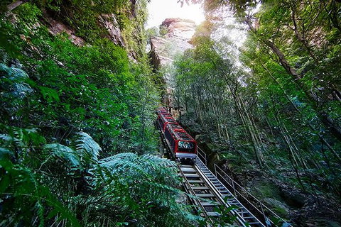 All Inclusive Blue Mountains Small-Group Day Trip From Sydney - Holiday Great Ocean Road 27