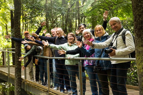 All Inclusive Blue Mountains Small-Group Day Trip From Sydney - Holiday Great Ocean Road 30