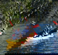Kayak and SUP Guided Tours - Holiday Great Ocean Road