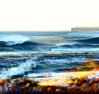 7-Day Byron Bay Evans Head and Moonee Beach Surf Safari from Brisbane Gold Coast or Byron Bay - Holiday Great Ocean Road