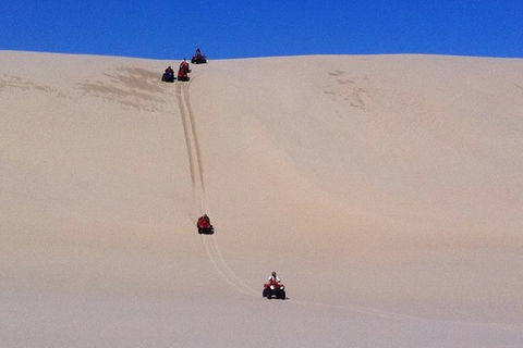 Worimi Sand Dunes Quad Bike Tour - Holiday Great Ocean Road 3