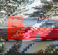 SkyBus Byron Bay Express - Holiday Great Ocean Road