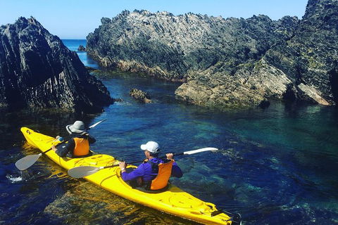 Half Day Sea Kayak Tour From Batemans Bay - Holiday Great Ocean Road 1