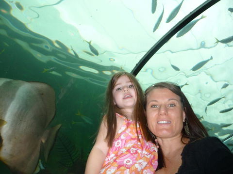 WILD LIFE Sydney Entrance Ticket - Holiday Great Ocean Road 4