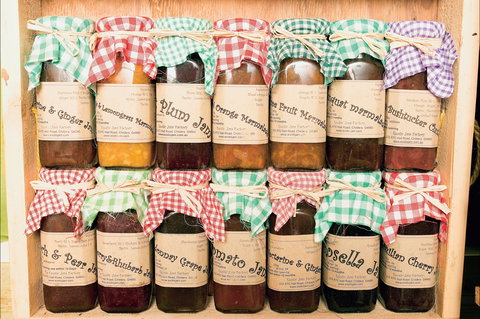 Apple Tree Creek - Holiday Great Ocean Road 1