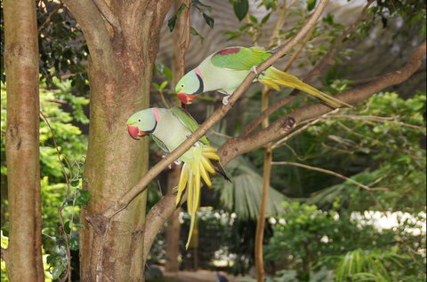 Apple Tree Creek - Holiday Great Ocean Road 2