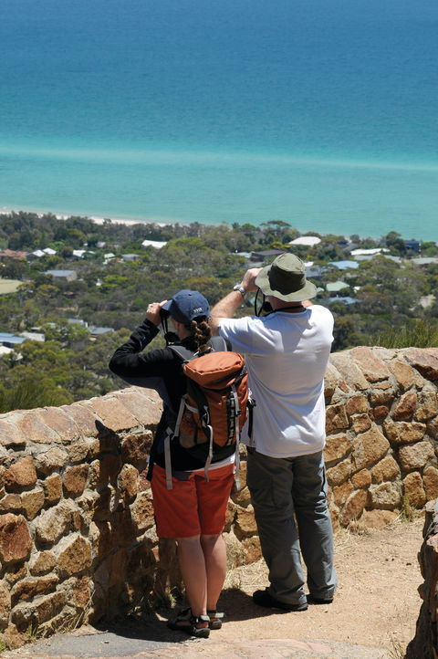 Arthurs Seat State Park - Holiday Great Ocean Road 2
