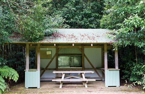 Coachwood Picnic Area - Holiday Great Ocean Road 0