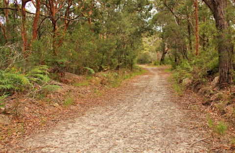 Daleys Point Walking Track - Holiday Great Ocean Road 0
