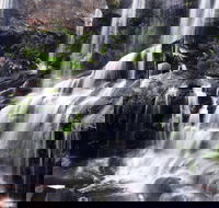 Darkes Forest - Holiday Great Ocean Road