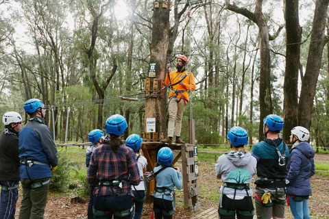 Forest Adventures South West - Holiday Great Ocean Road 0