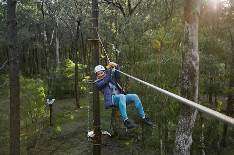 Forest Adventures South West - Holiday Great Ocean Road 2